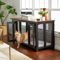 a small dog standing inside of a caged in area next to a couch and table