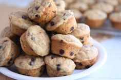 a white plate filled with chocolate chip muffins