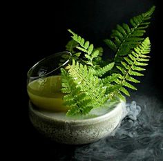 a glass bowl filled with green liquid next to a fern leaf on a black background