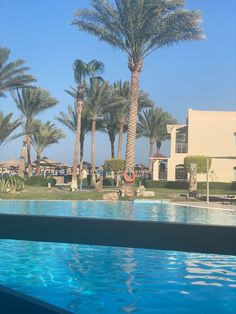 a pool with palm trees in the background