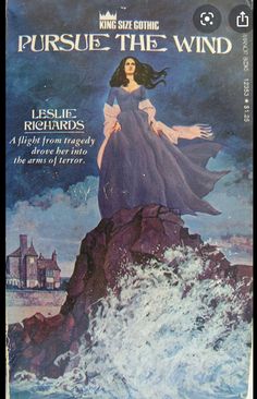 a book cover for pursue the wind with an image of a woman standing on top of a rock