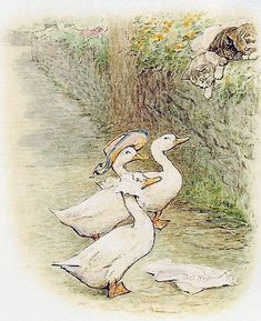 an image of two ducks and a cat