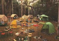 there are many tents set up in the woods