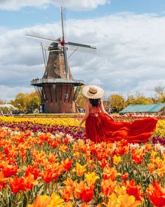 a woman in a red dress and straw hat walks through a field of tulips