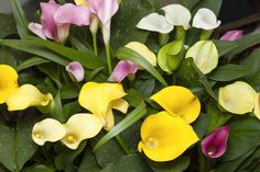 a bunch of flowers that are sitting in a vase on a table with green leaves