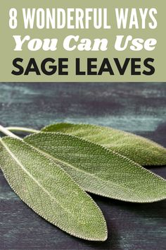 sage leaves with the title 8 wonderful ways you can use sage leaves