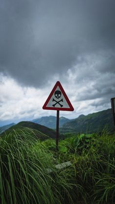 a sign with a skull and crossbones on it in the middle of tall grass