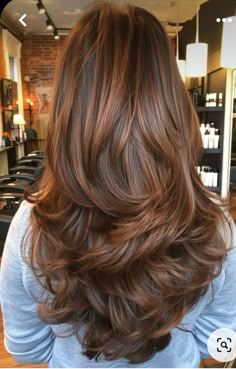 Balayage Plus Highlights, Brown Hair With Reddish Tones, Layered Brunette Haircut, Auburn Hair Color Highlights, Dark Roots Brown Hair Balayage Brunettes, Highlights In Reddish Brown Hair, Caramel Highlights No Bleach, Honey Amber Hair Color, Brown Hair With Highlights For Pale Skin