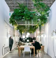 a man sitting at a table in front of a green plant hanging from the ceiling