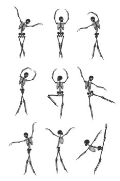 six different types of skeletons with arms and legs, all in various positions to move