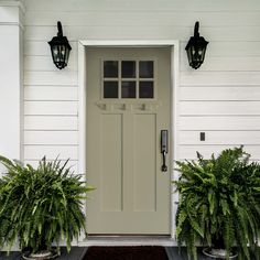 two potted plants sit in front of a door on the side of a house