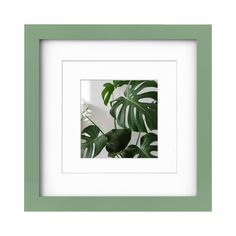 a green and white frame with a plant in the middle on a white wall behind it