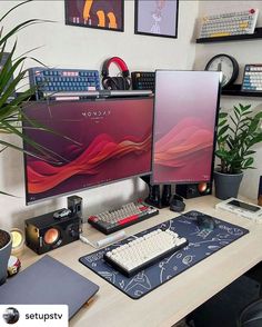 two computer monitors sitting on top of a desk next to a keyboard, mouse and plant