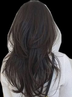 Long Hair With Layered Ends, Long Asian Wolfcut, Long V Cut Hair With Layers, V Haircut For Medium Hair With Layers, Asian Hair Layers, V Layered Haircut, V Cut Hair With Layers, Layered Hair Asian, Asian Long Hair Cuts With Layers