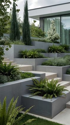 an outdoor garden with concrete planters and green plants on the side of the building