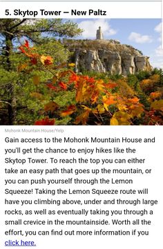 an image of the top of a mountain with trees and leaves in front of it