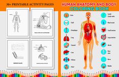 the human anatomy and body coloring book is shown in this graphic file, with instructions to color