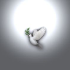 a white dove with a green leaf in its beak