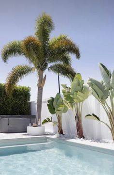 an empty swimming pool surrounded by palm trees