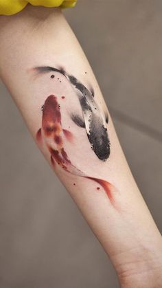 a watercolor style koi fish tattoo on the arm