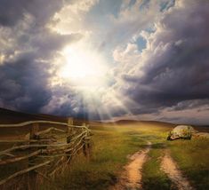 a dirt road going through a grassy field under a cloudy sky with sunbeams