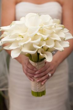 a bride holding a bouquet of white flowers