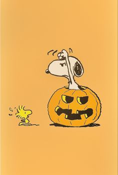 a cartoon dog is sitting on top of a pumpkin