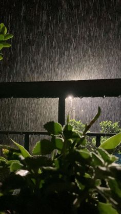 the light shines brightly in the dark, while it is raining down on some plants