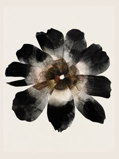 a black and white flower is in the middle of an abstract painting with watercolors