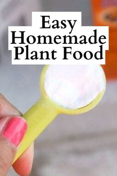 homemade plant food How To Make Plant Food At Home, Houseplant Food Diy, Diy Plant Food For Outdoor Flowers, Plants Fertilizer Homemade, Best Plant Food For House Plants, Diy Plant Food For Indoor Plants, Flower Fertilizer Homemade, Succulent Food Diy, Homemade Plant Fertilizer Recipe