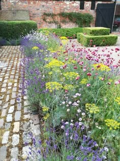 the garden is full of colorful flowers and plants