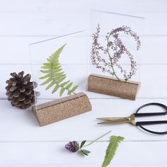 some plants and scissors on a white table