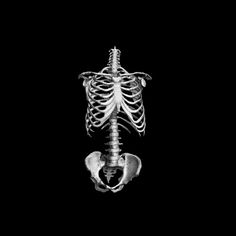 an x - ray image of a human skeleton with the rib cage attached to it