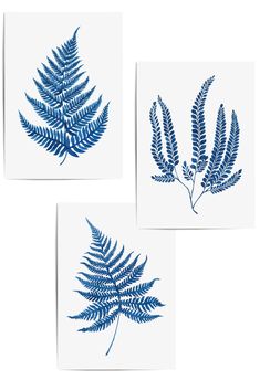 set of 3 blue fern wall decor Christmas Wall Art Canvas, Colour Display, Space Bathroom, Blue Fern, Blue Wall Decor, Living Room Prints, Blue Room, Blue Rooms, Personalised Prints