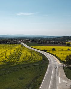 an empty road in the middle of a field with yellow flowers on both sides and cars driving down it