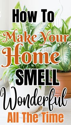 a potted plant with the words how to make your home smell wonderful all the time