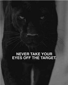 a black cat with the caption never take your eyes off the target