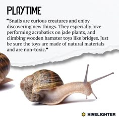 two snails are next to each other on a piece of paper that says playtime