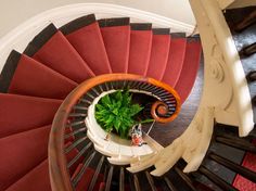 an overhead view of a spiral staircase with a potted plant on the handrail