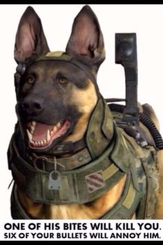 Call of duty ghosts logic. Frickin K9 units suck unless they're for you & mot against you. Lol. Call Of Duty, Logic, Xbox