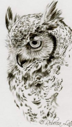 a drawing of an owl with big eyes