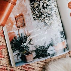 an open book sitting on top of a table next to a lamp and potted plant