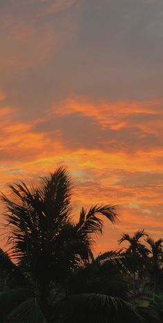 the sun is setting behind palm trees in this tropical sunset scene with an airplane flying overhead