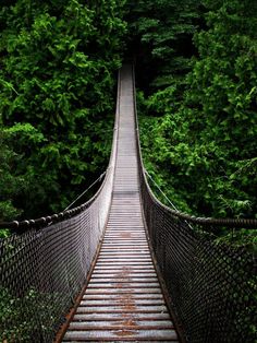 a suspension bridge in the middle of a forest