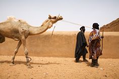 two men are walking with a camel in front of a stone wall and sand dunes