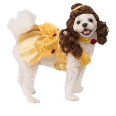 a small dog dressed up in a princess costume with her hair pulled back and looking at the camera