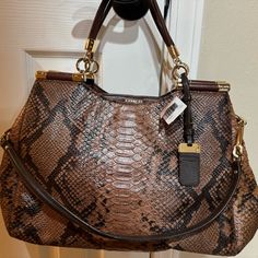 Coach Madison Python Caroline Brick New With Tags Luxury Coach Handheld Shoulder Bag, Luxury Handheld Coach Shoulder Bag, Luxury Handheld Coach Satchel, Brown Crocodile Pattern Satchel Shoulder Bag, Coach Pebbled Leather Satchel With Gold-tone Hardware, Leather Snake Print Satchel Shoulder Bag, Leopard Print Satchel Shoulder Bag With Zipper Closure, Chloe Bags Handbags, Red Satchel