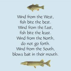 two fish swimming next to each other on a blue background with the words wind from the west, fish bite the best