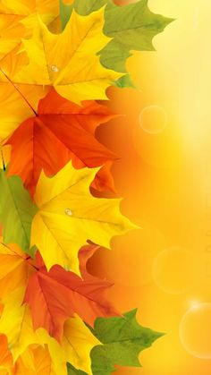 an image of colorful fall leaves on a yellow and orange background with space for text