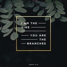 the words i am the vine you are the branches on a black background with gold frame